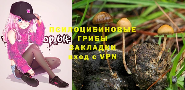 прущие крисы Абаза