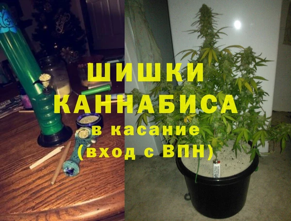 прущие крисы Абаза
