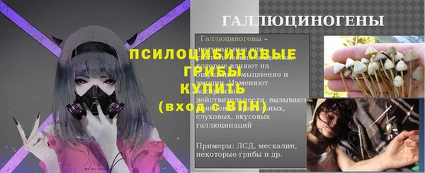 экстази Алексин