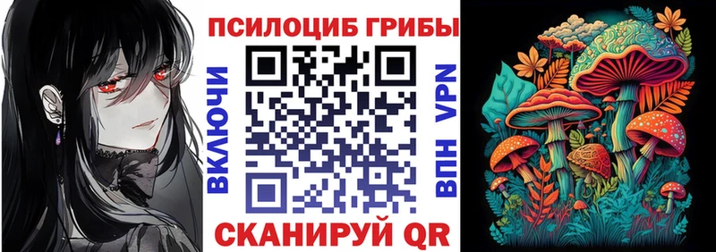купить наркотик Красавино Псилоцибиновые грибы MAGIC MUSHROOMS